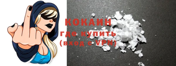 шишки Богородск