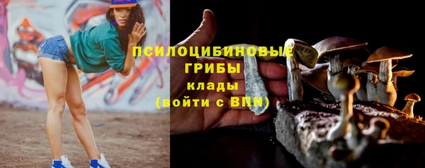 шишки Богородск