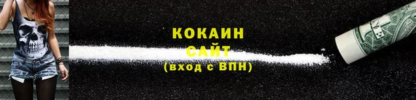 бошки Бронницы