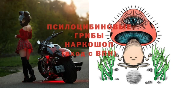 шишки Богородск