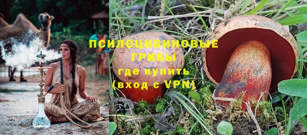 мдма Богородицк