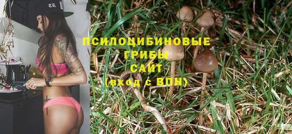прущая мука Богданович
