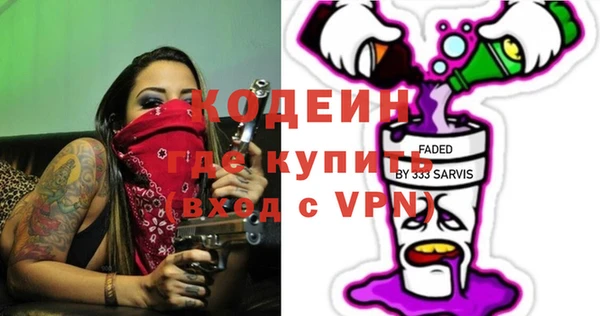 шишки Богородск