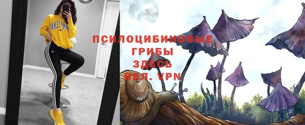 прущая мука Богданович
